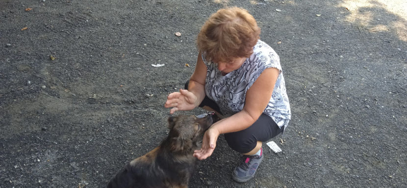 La Izvorul Albastru al Izei - Excursii de vară 2023