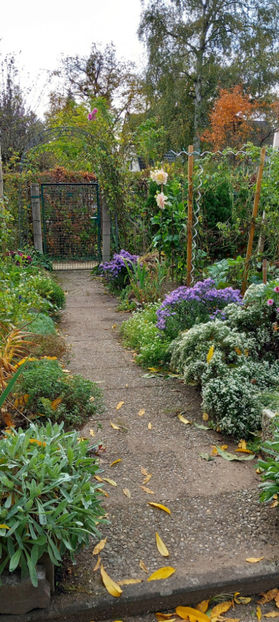  - 2024 - 03 - Toamna