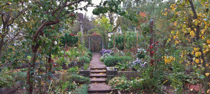  - 2024 - 03 - Toamna