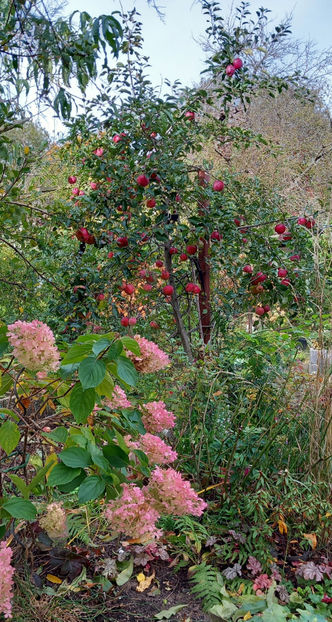  - 2024 - 03 - Toamna