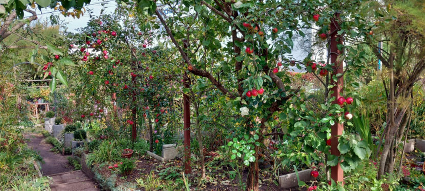  - 2024 - 03 - Toamna