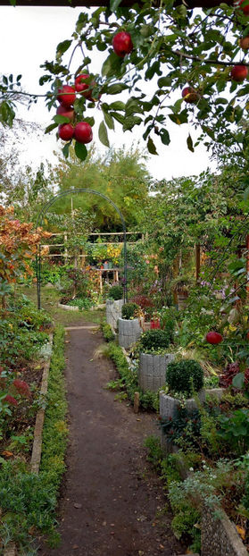  - 2024 - 03 - Toamna