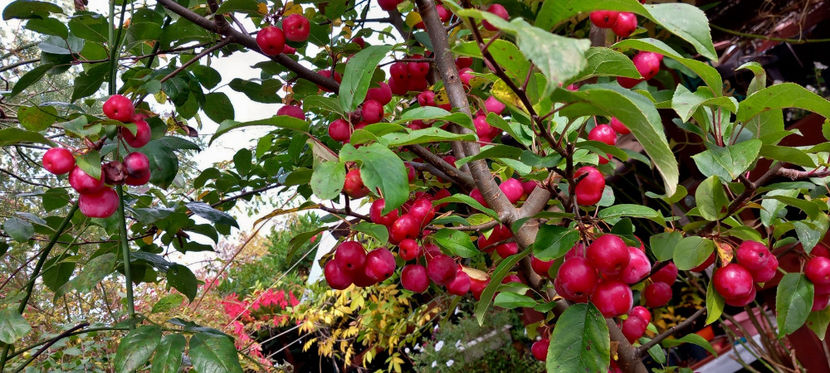  - 2024 - 03 - Toamna