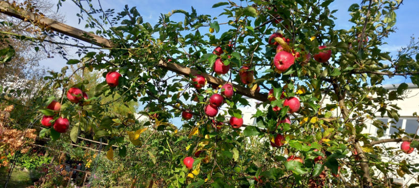  - 2024 - 03 - Toamna