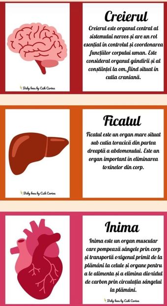  - Celulele noastre ascultă