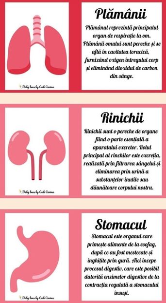  - Celulele noastre ascultă