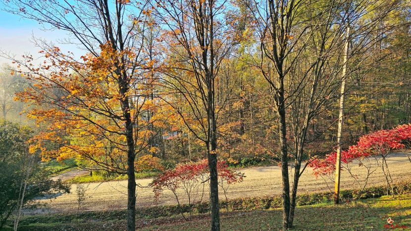 Autumn 1 - CANADIAN AUTUMN - Toamna canadiana