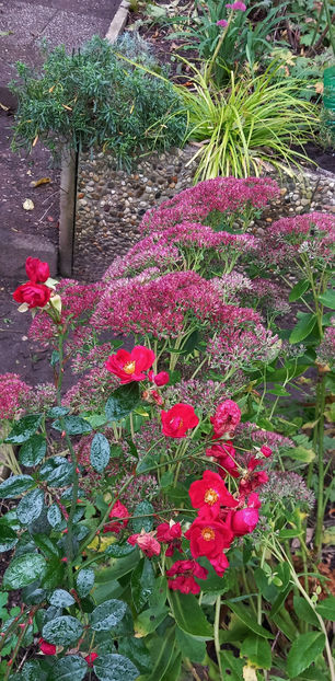  - 2024 - 03 - Toamna