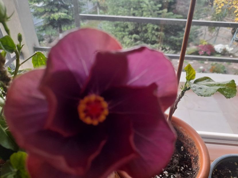  - 1 2024 Din nou cu natura impreuna !