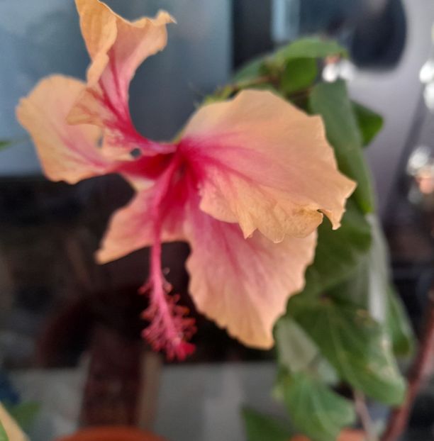  - 1 2024 Din nou cu natura impreuna !