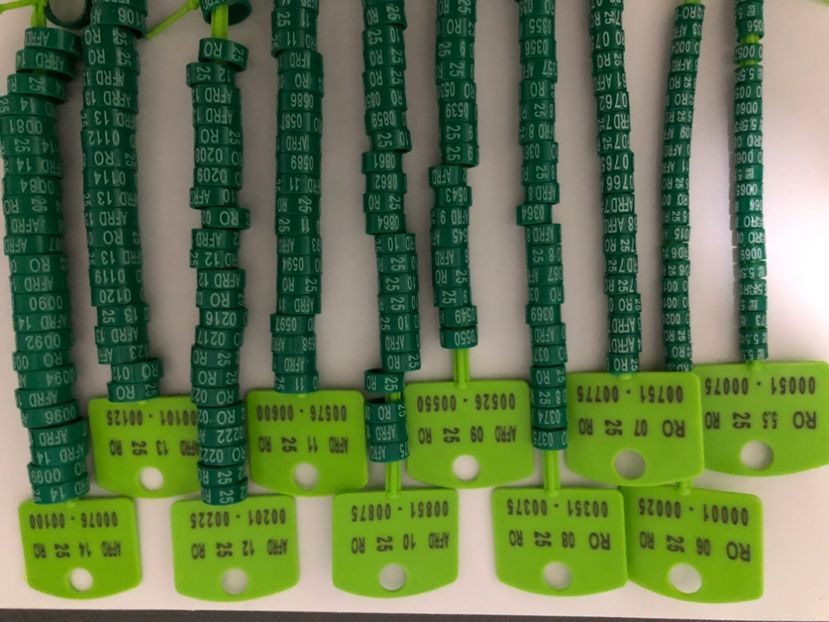 Inele Ornament AFRD 2025 - 0 Inele Ornament Asociație AFRD 2025