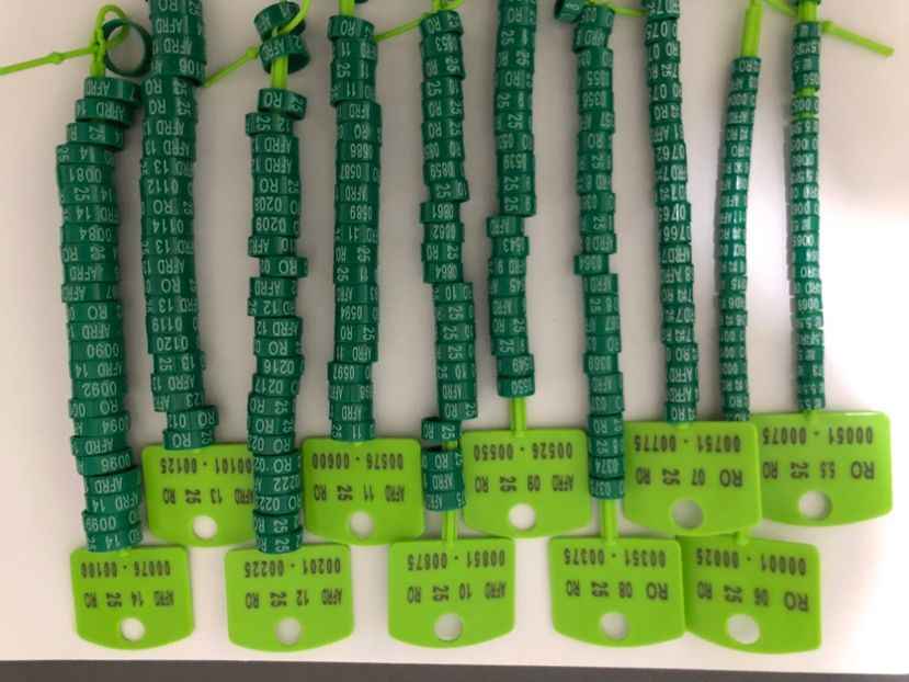  - 0 Inele Ornament Asociație AFRD 2025