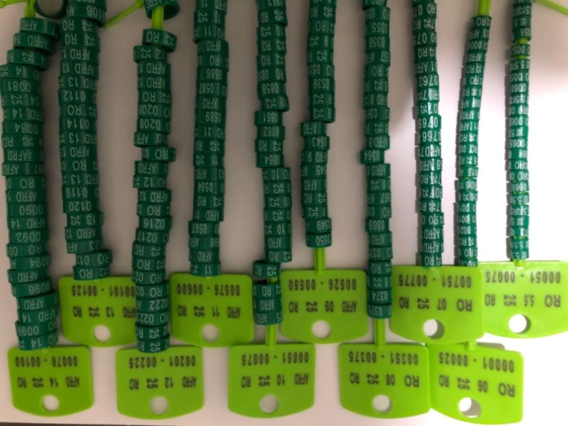  - 0 Inele Ornament Asociație AFRD 2025