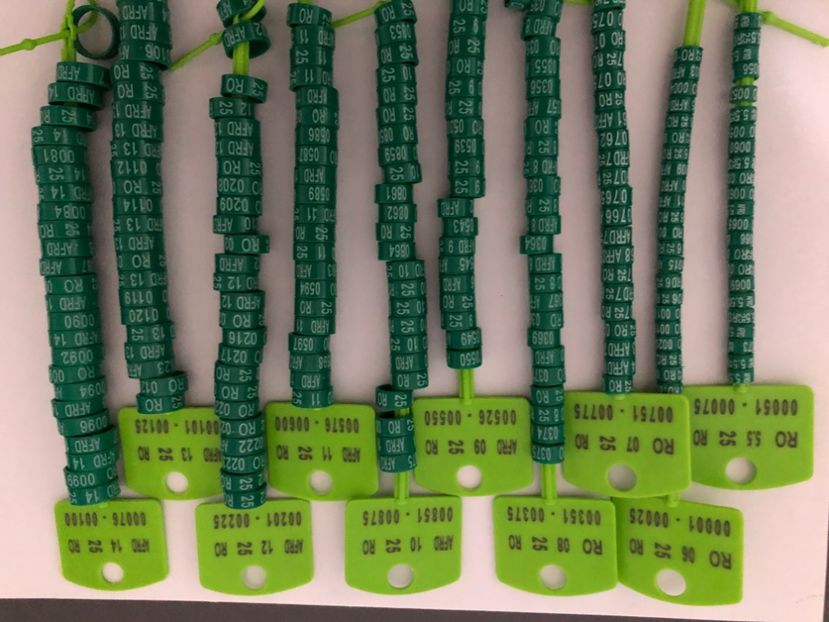  - 0 Inele Ornament Asociație AFRD 2025