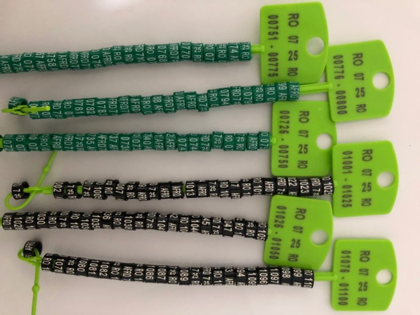  - 0 Inele Ornament Asociație AFRD 2025