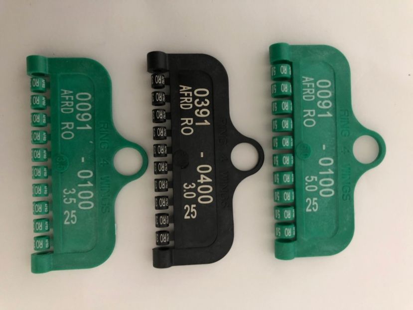  - 0 Inele Ornament Asociație AFRD 2025