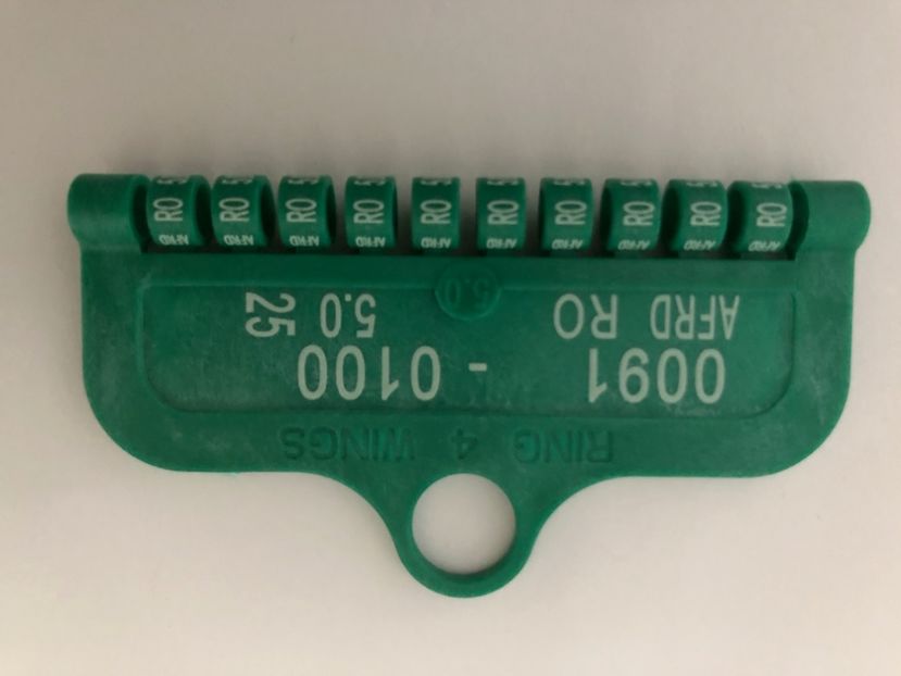  - 0 Inele Ornament Asociație AFRD 2025