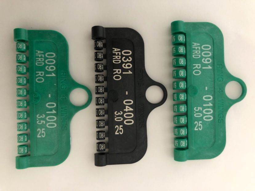  - 0 Inele Ornament Asociație AFRD 2025