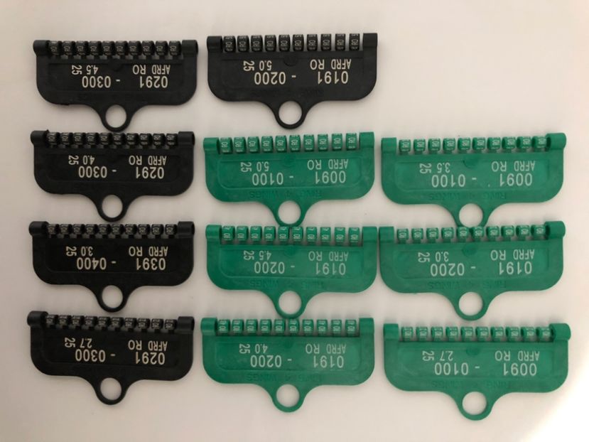 Inele pasari exotice 2025 - 0 Inele Ornament Asociație AFRD 2025