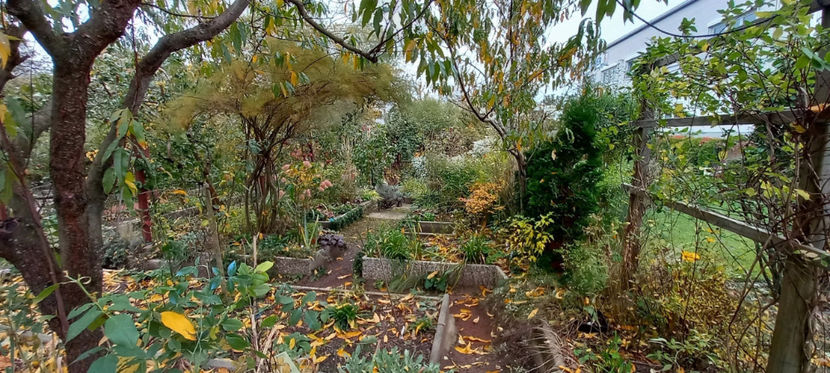  - 2024 - 03 - Toamna