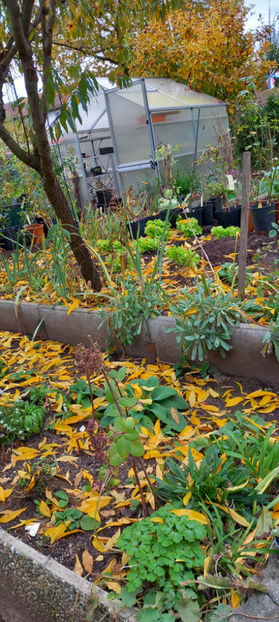  - 2024 - 03 - Toamna