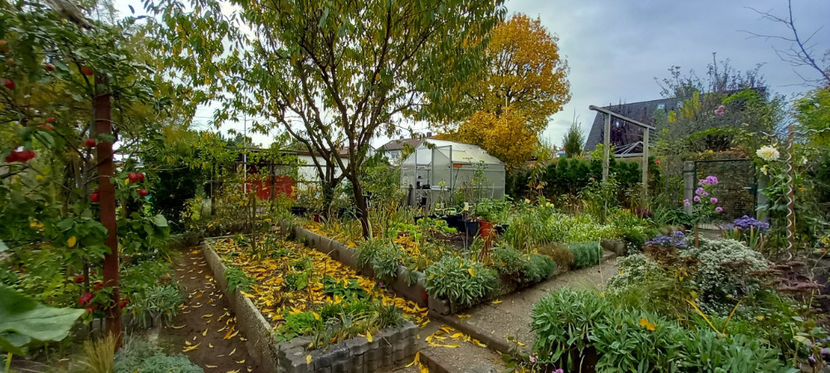  - 2024 - 03 - Toamna