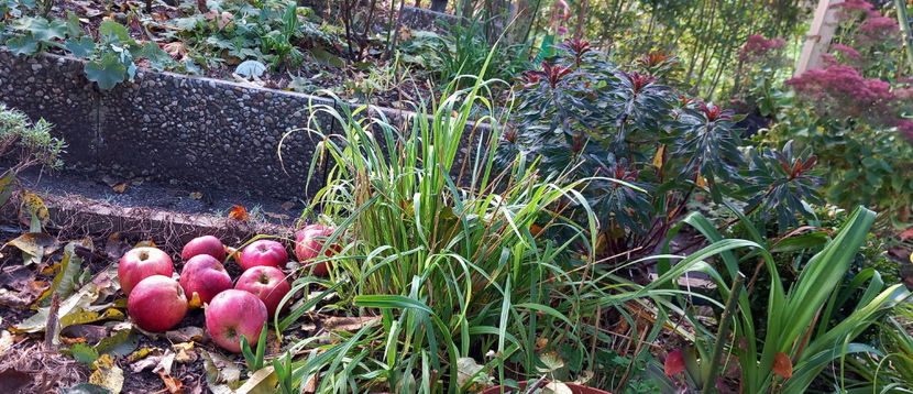  - 2024 - 03 - Toamna