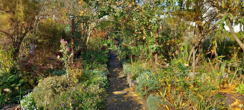  - 2024 - 03 - Toamna