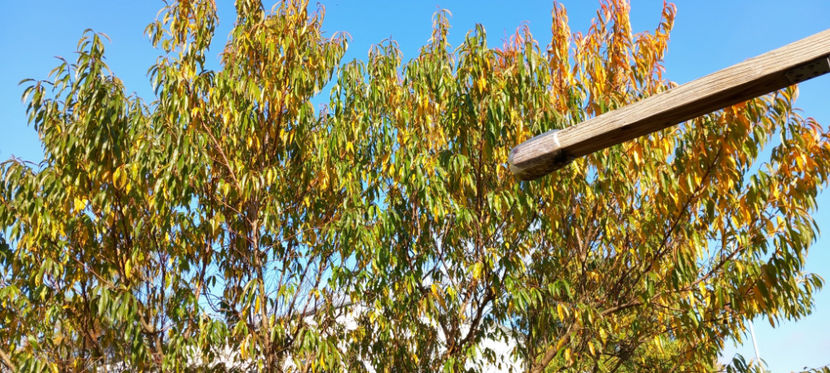  - 2024 - 03 - Toamna