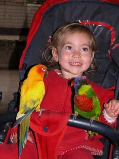 parrot_farm_baby