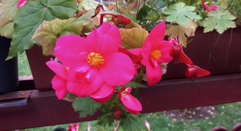  - 2024 - 03 - Toamna