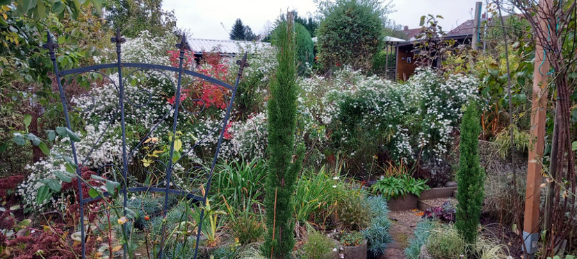  - 2024 - 03 - Toamna