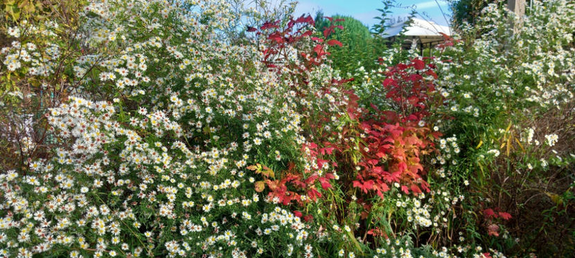  - 2024 - 03 - Toamna