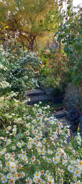  - 2024 - 03 - Toamna