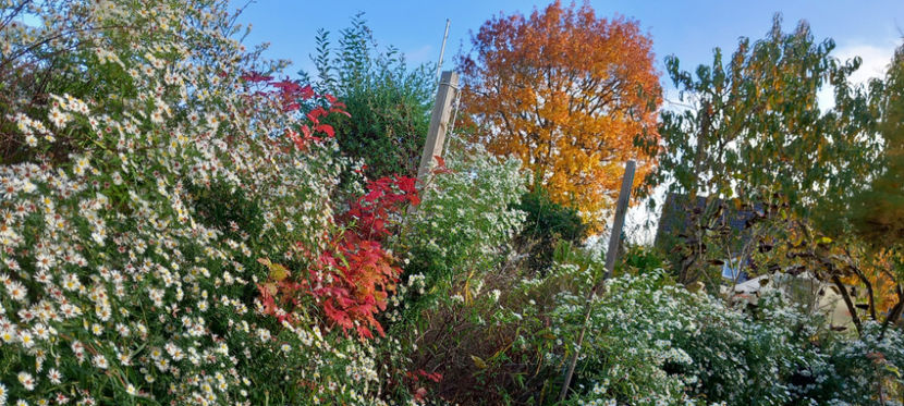  - 2024 - 03 - Toamna