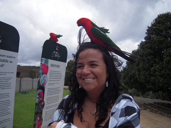 student_with_parrot_on_head - oamenii si papagalii