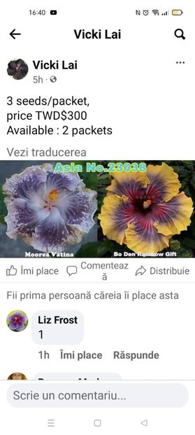 Screenshot_2024-09-08-11-23-03-31_965bbf4d18d205f782c6b8409c5773a4 - Butași înrădăcinați de hibiscus