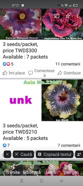 Screenshot_2024-08-18-07-21-53-72_965bbf4d18d205f782c6b8409c5773a4 - Butași înrădăcinați de hibiscus