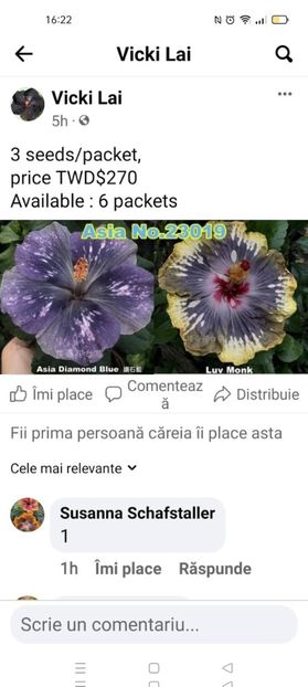 Screenshot_2024-08-18-07-21-19-92_965bbf4d18d205f782c6b8409c5773a4 - Butași înrădăcinați de hibiscus