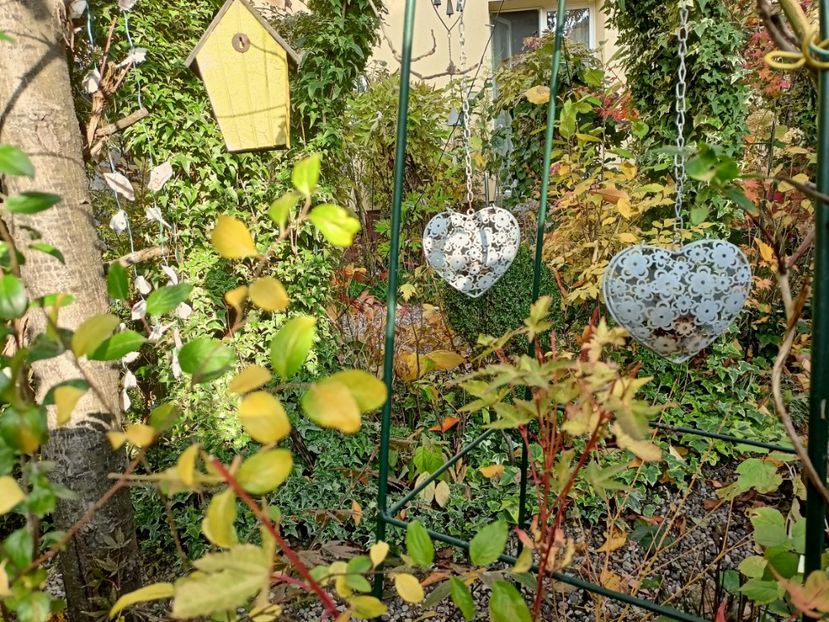  - Grădina 2024 continuare 5