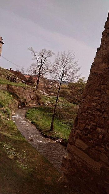  - Fotografia este o poveste fără cuvinte