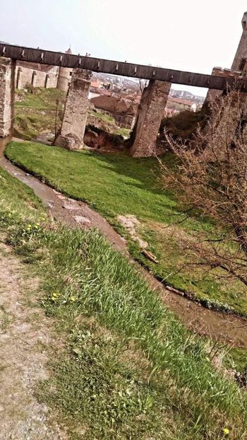  - Fotografia este o poveste fără cuvinte