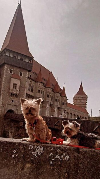  - Fotografia este o poveste fără cuvinte