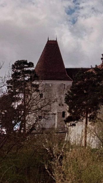  - Fotografia este o poveste fără cuvinte