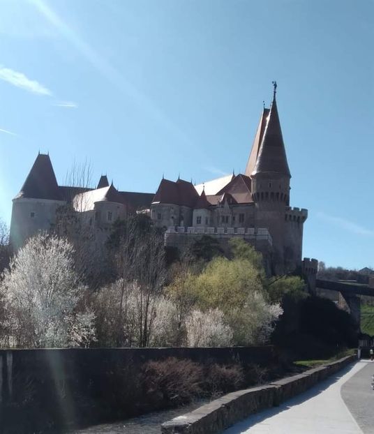  - Fotografia este o poveste fără cuvinte
