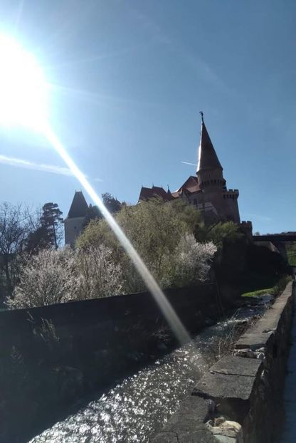  - Fotografia este o poveste fără cuvinte
