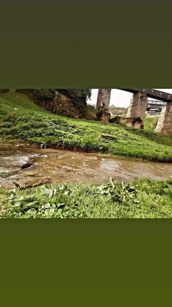  - Fotografia este o poveste fără cuvinte