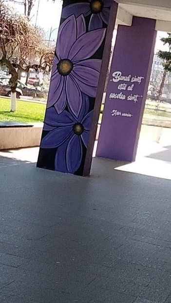  - Fotografia este o poveste fără cuvinte