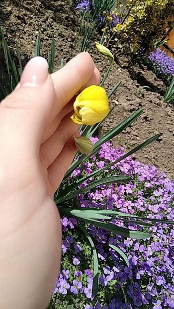  - Fotografia este o poveste fără cuvinte