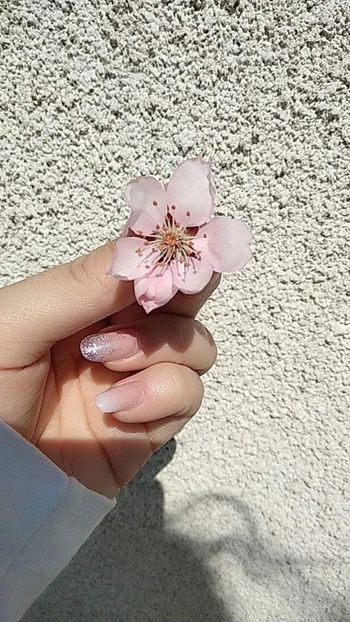  - Fotografia este o poveste fără cuvinte